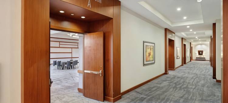达拉斯-沃斯堡国际机场凯悦丽景湾酒店(Hyatt Regency DFW International Airport)图片