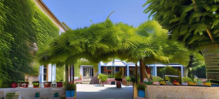 米图的莫兰(Le Moulin de Mitou)图片