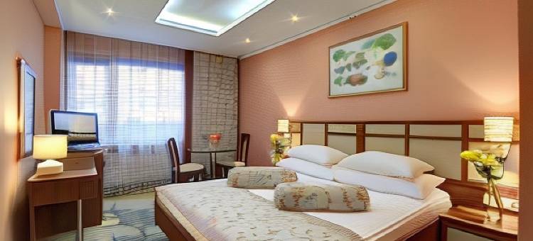 伊兹麦洛瓦阿尔法酒店(Izmailovo Alpha Hotel)图片
