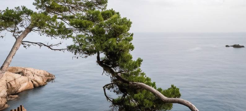 Bypillow Cap Sa SAL图片