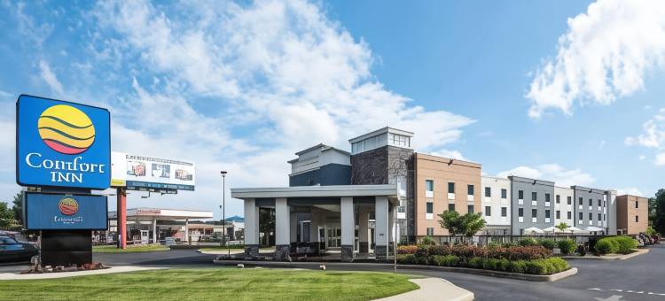 舒适酒店 - 雷赫波夫(Comfort Inn - Rehoboth)图片