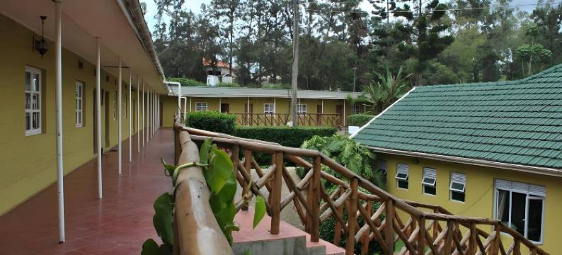 小林旅馆(Little Woods Inn)图片