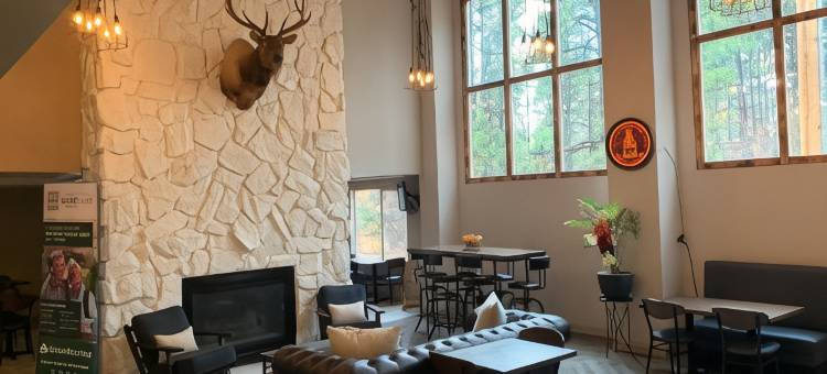 派恩托普格林豪泰套房酒店(GreenTree Inn & Suites Pinetop)图片