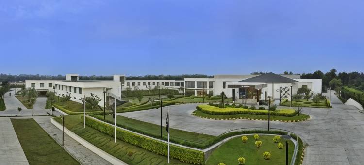 新德里机场大道福朋喜来登酒店(Four Points by Sheraton New Delhi, Airport Highway)图片
