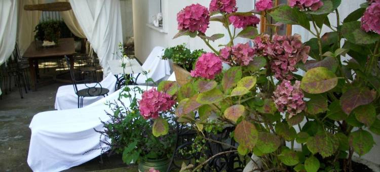 威拉维多利亚旅馆(Willa Viktoria)图片