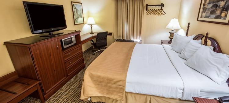 凯艺酒店(Quality Inn)图片