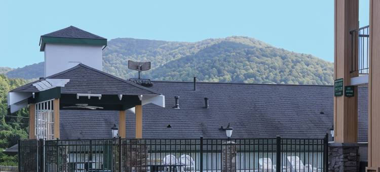 比尔特莫尔东凯艺套房酒店(Quality Inn & Suites Biltmore East)图片