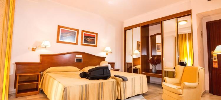 阿巴迪斯洛哈酒店(Hotel Abades Loja)图片
