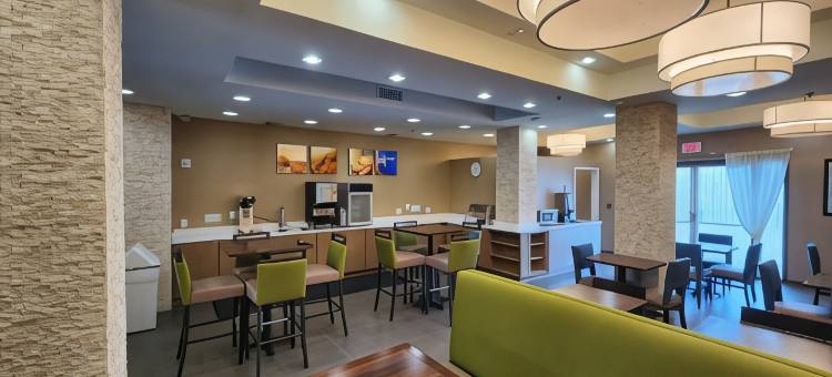 新奥尔良东舒适套房酒店(Comfort Suites New Orleans East)图片