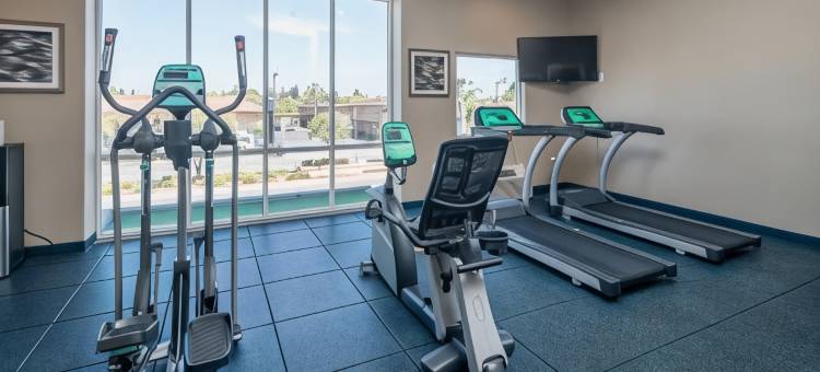 智选假日套房酒店圣克拉拉(Holiday Inn Express & Suites Santa Clara)图片