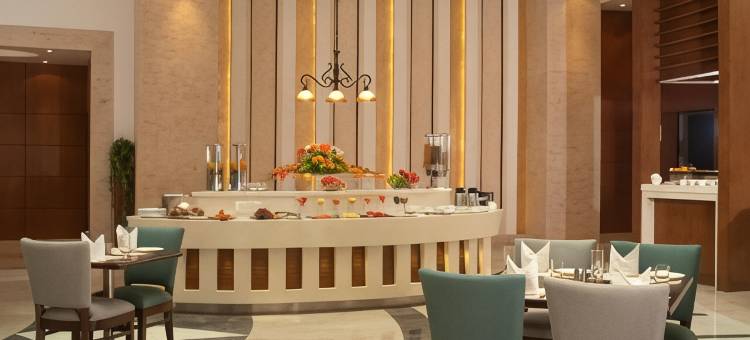 萨沃伊套房大诺伊达店(Savoy Suites Greater Noida)图片