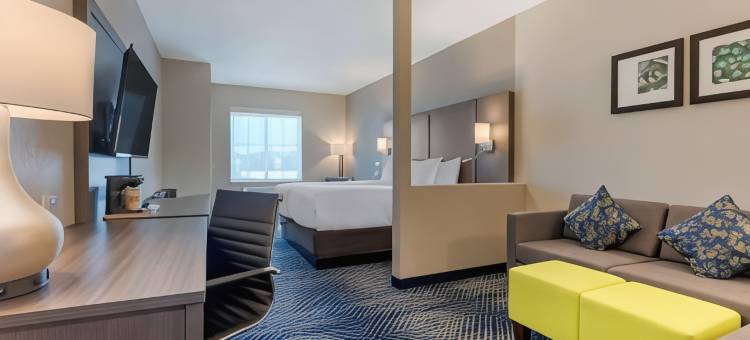 舒适酒店及套房巴尔奇斯普林斯 - 达拉斯东南(Comfort Inn & Suites Balch Springs - SE Dallas)图片