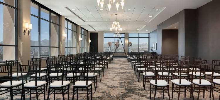 埃尔帕索市中心希尔顿逸林酒店(DoubleTree by Hilton Hotel El Paso Downtown)图片