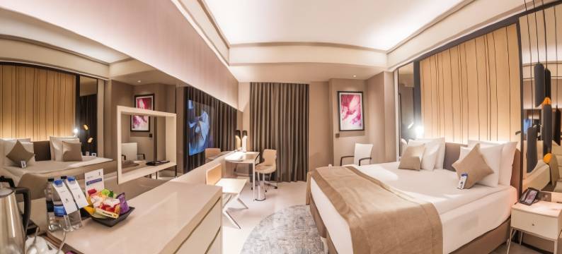 科尼亚拜耳钻石酒店&会议中心(Bayır Diamond Hotel & Convention Center Konya)图片