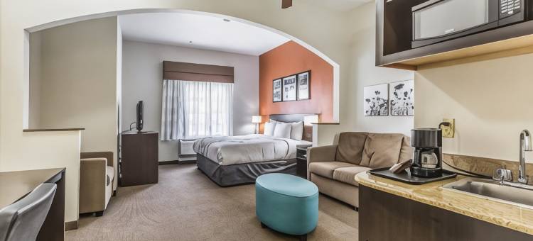 斯塔福德舒格兰舒眠套房酒店(Sleep Inn & Suites Stafford - Sugarland)图片