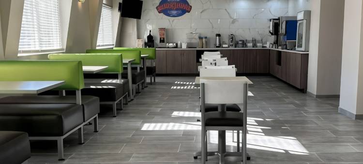 诺布尔斯维尔温德姆呗盟套房酒店(Baymont by Wyndham Noblesville)图片