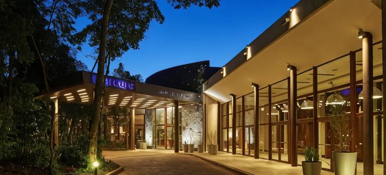 伊瓜苏港美居伊露酒店(Mercure Iguazu Hotel Iru)图片