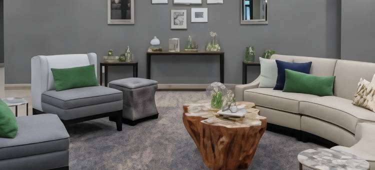 兰辛伊斯特伍德Homewood Suites by Hilton(Homewood Suites by Hilton Lansing Eastwood)图片