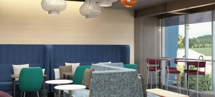 迈阿密西布瑞克尔希尔顿Tru酒店(Tru by Hilton Miami West Brickell)图片