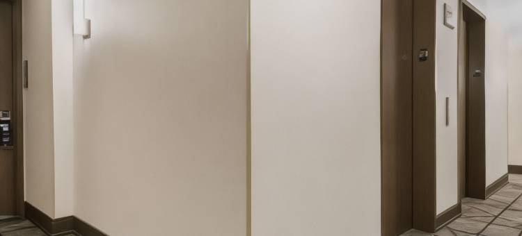 纽约市切尔西希尔顿逸林酒店(DoubleTree by Hilton Hotel New York City - Chelsea)图片