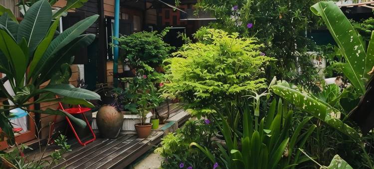 诺姆旅馆(Noom Guesthouse)图片