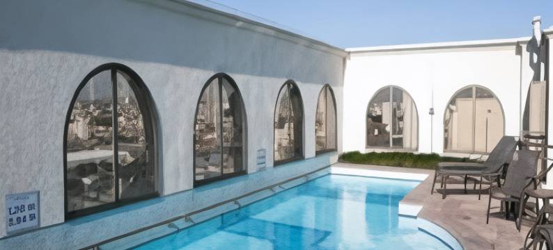 萨奥凯塔诺多索美居酒店(Mercure Sao Caetano do Sul)图片