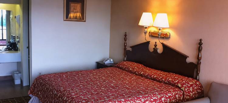 克拉丽奥酒店及套房近勒孔特中心鸽子谷(Clarion Inn & Suites Near the Leconte Center Pigeon Forge)图片