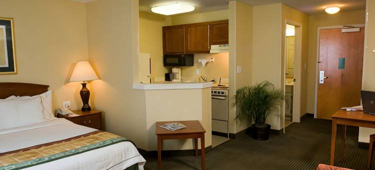 亚特兰大阿尔普哈雷塔万豪TownePlace Suites酒店(TownePlace Suites Atlanta Alpharetta)图片