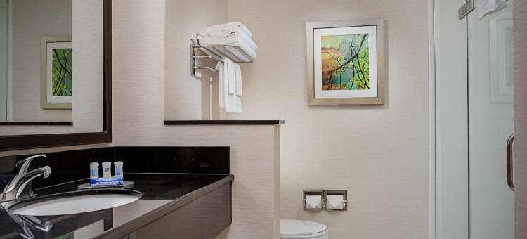 坦帕西岸/机场万枫酒店(Fairfield Inn & Suites Tampa Westshore/Airport)图片