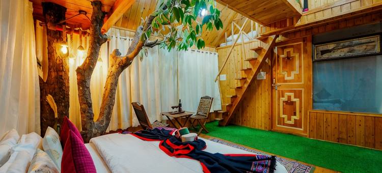 Himalayan Abode Tree House图片
