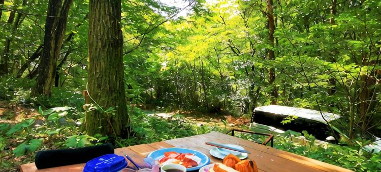 Private Cabin-Perfect for families, large groups!图片