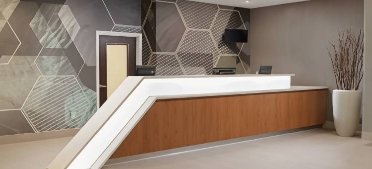 达拉斯艾迪生/Quorum路SpringHill Suites酒店(SpringHill Suites Dallas Addison/Quorum Drive)图片