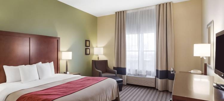 费耶特维尔大学区舒适套房酒店(Comfort Inn & Suites Fayetteville-University Area)图片