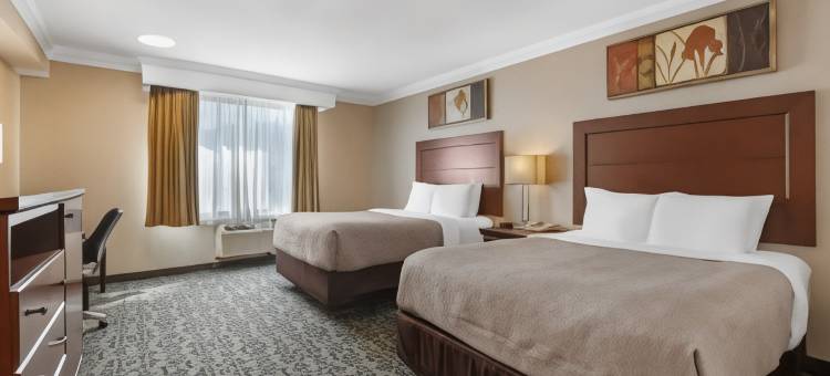 凯艺会议中心酒店(Quality Inn & Conference Centre)图片