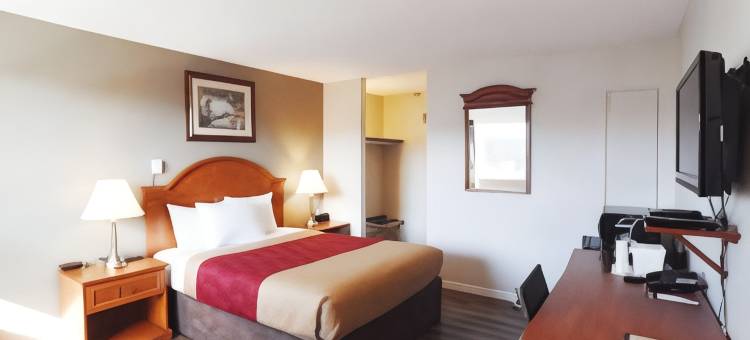 德拉姆赫勒套房伊克诺旅馆(Econo Lodge Inn & Suites Drumheller)图片