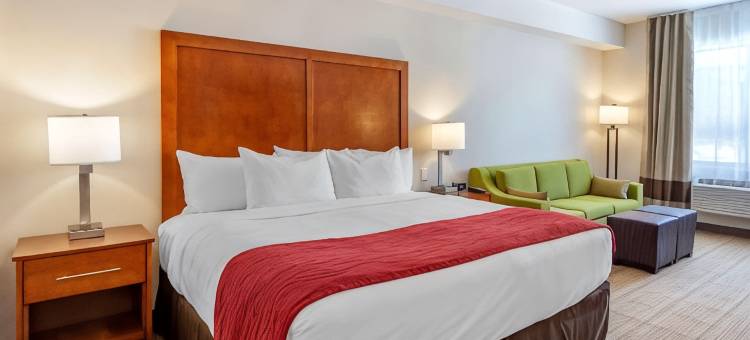 康福特套房酒店(Comfort Inn & Suites)图片