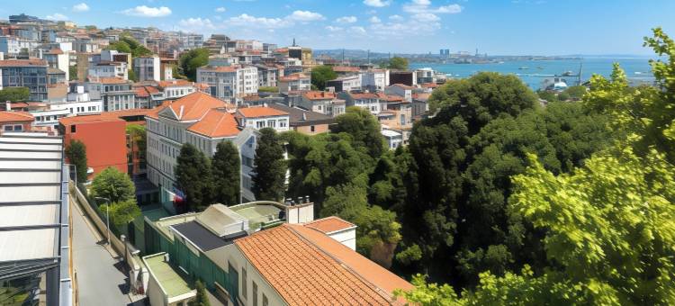 汤姆汤姆套房(Tomtom Suites)图片