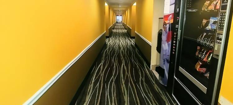 利斯萨米特 - 堪萨斯城凯艺酒店(Quality Inn Lees Summit - Kansas City)图片