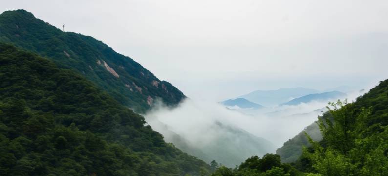 灵龟雅舍民宿图片