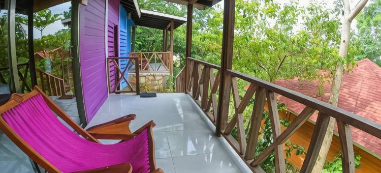 温妮卡阿特拉酒店(Winíka Alterra)图片