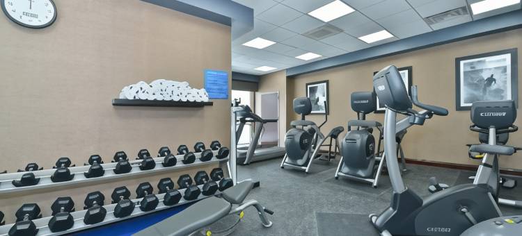 艾尔克格罗夫村奥黑尔温德姆花园酒店(Wyndham Garden Elk Grove Village/O'Hare)图片