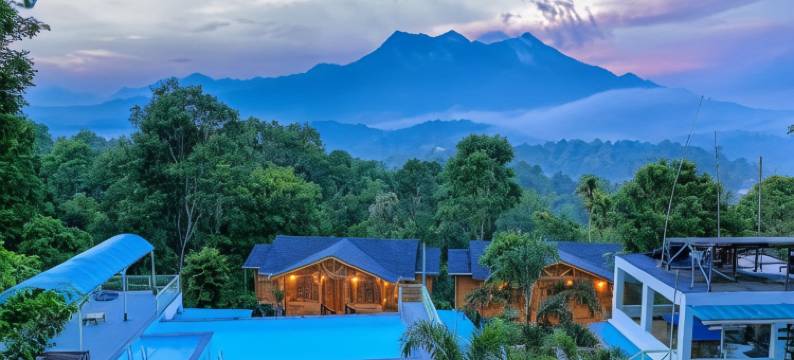 伍德罗斯度假村(Woodrose Resort)图片