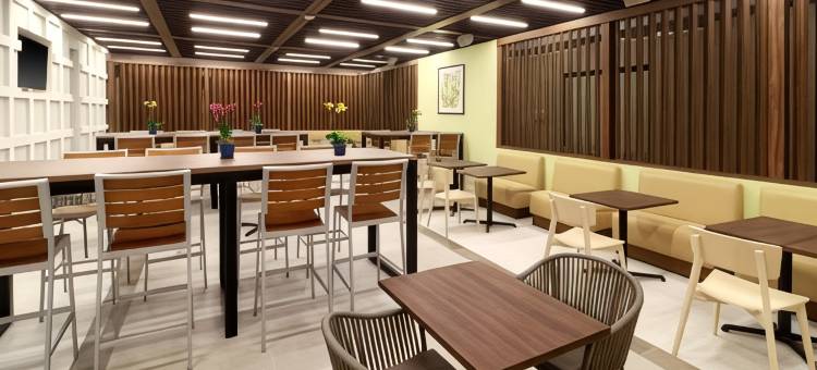 卡曼海滩智选假日套房酒店(Holiday Inn Express & Suites Playa Del Carmen)图片