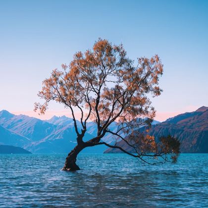 新西兰北岛+南岛环岛12日跟团游