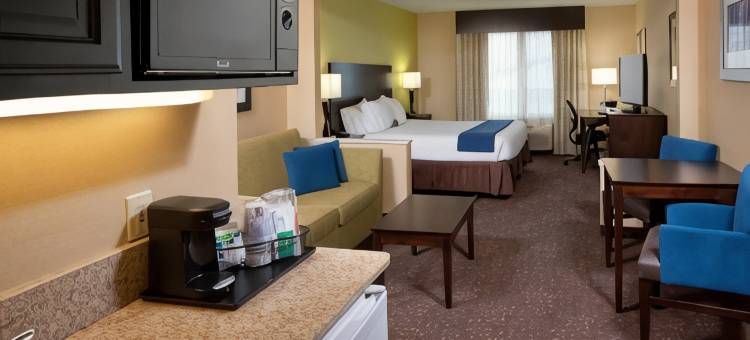 萨吉诺智选假日套房酒店(Holiday Inn Express & Suites Saginaw)图片