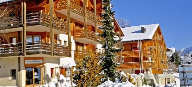 莱森派克卡斯特住宅酒店(Résidence Castel Club Leysin Parc)图片