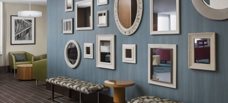 休斯顿市中心/会议中心万豪SpringHill Suites 酒店(SpringHill Suites Houston Downtown/Convention Center)图片