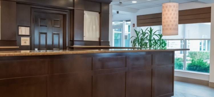 希尔顿花园酒店-亚特兰大机场北(Hilton Garden Inn Atlanta Airport North)图片