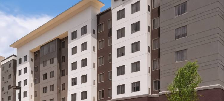 夏洛特北湖万怡酒店(Courtyard Charlotte Northlake)图片