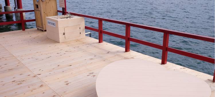 望湖楼(Bokoro Ryokan)图片